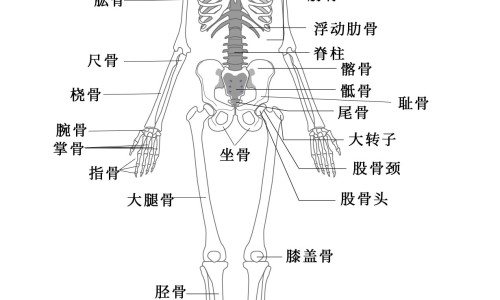 鳕鱼搭配什么最有营养-鳕鱼配什么吃有营养价值网 :分享鳕鱼搭配什么最有营养-鳕鱼最佳搭配三种蔬菜知识