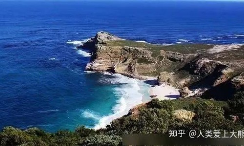 鳕鱼配什么吃有营养价值网 :分享鳕鱼搭配什么最有营养-鳕鱼最佳搭配三种蔬菜知识