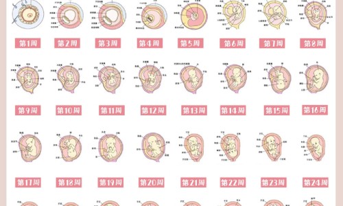 鳕鱼配什么吃有营养价值网 :分享鳕鱼搭配什么最有营养-鳕鱼最佳搭配三种蔬菜知识