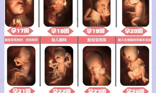 鳕鱼配什么吃有营养价值网 :分享鳕鱼搭配什么最有营养-鳕鱼最佳搭配三种蔬菜知识