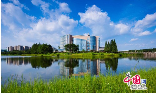 鳕鱼配什么吃有营养价值网 :分享鳕鱼搭配什么最有营养-鳕鱼最佳搭配三种蔬菜知识