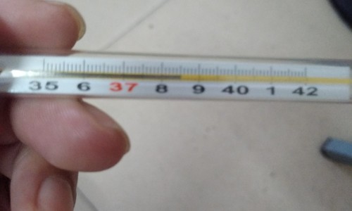 鳕鱼配什么菜最鲜嫩-鳕鱼配什么吃有营养价值网 :分享鳕鱼搭配什么最有营养-鳕鱼最佳搭配三种蔬菜知识